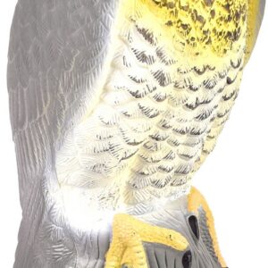 Plašič vtákov, Jastrab, 40 cm