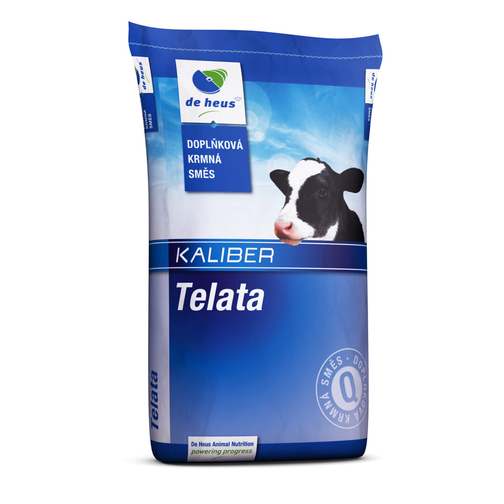 ENERGYS Kaliber Starter 25kg