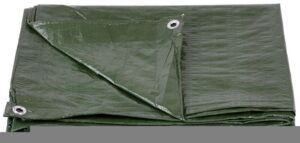 Plachta Tarpaulin Light 2×3 m, 65 g/m2, zakrývacia, zelená, s okami