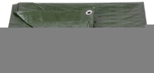Plachta Tarpaulin Light 4×5 m, 65 g/m2, zakrývacia, zelená, s okami