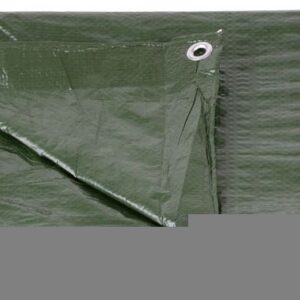 Plachta Tarpaulin Light 6x10 m, 65 g/m2, zakrývacia, zelená, s okami